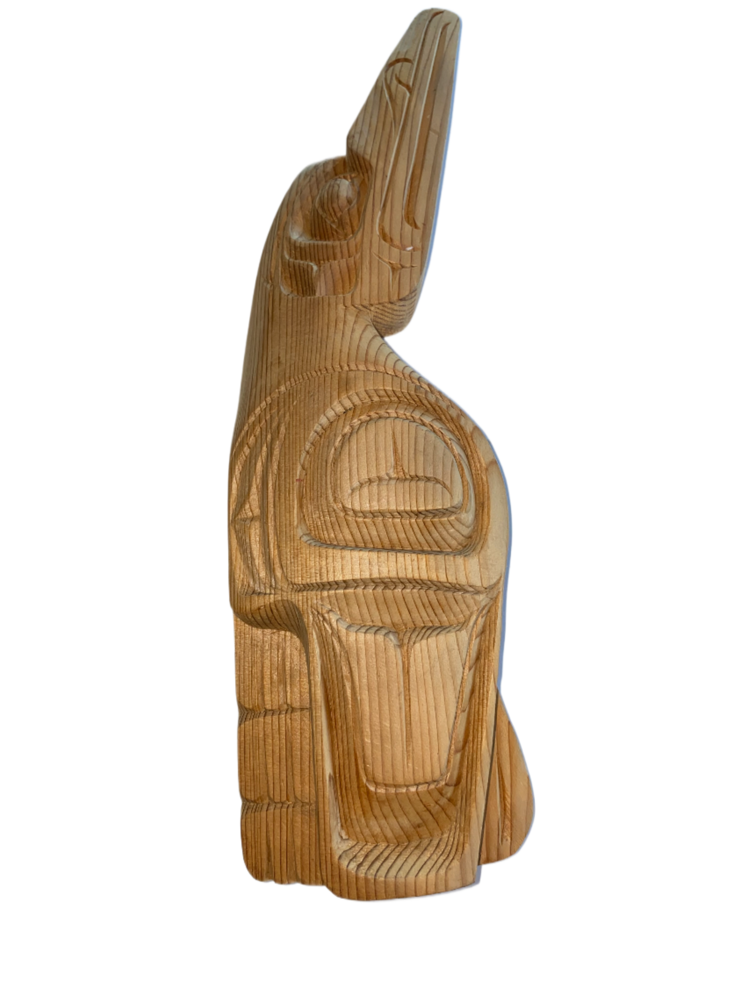 Sitting Raven