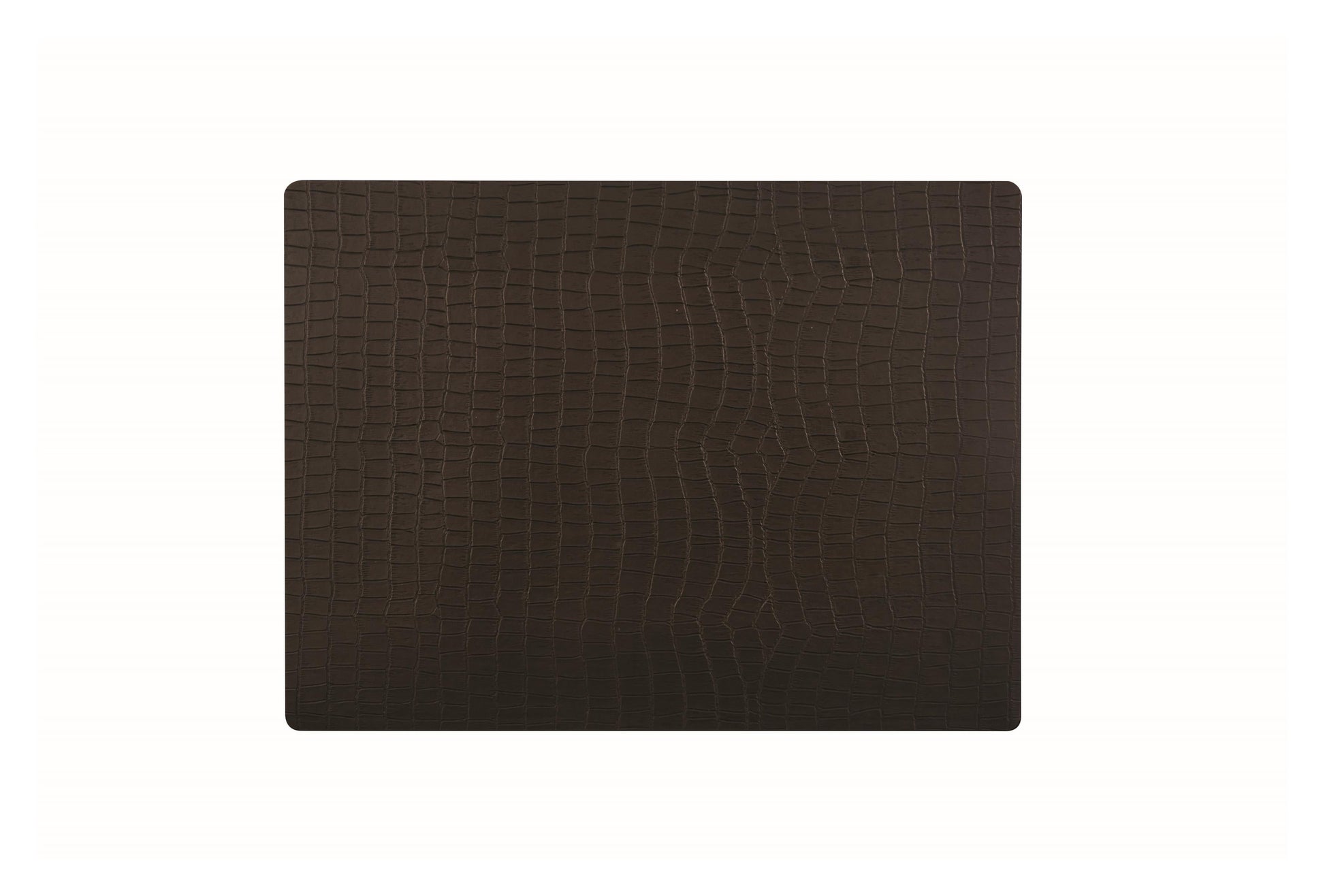 Anti-bacterial vinyl place mat