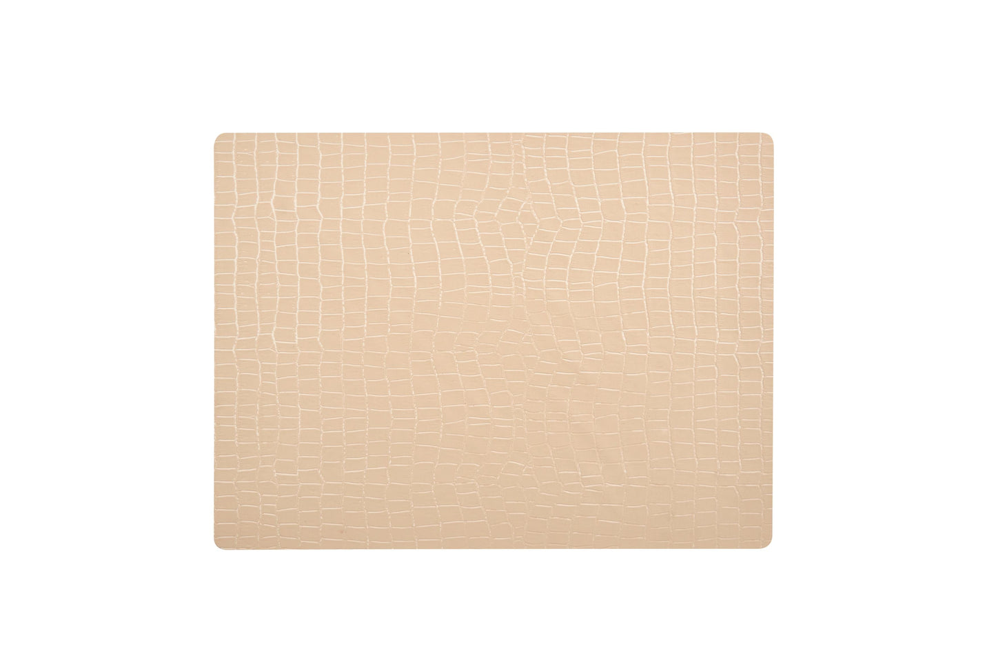 Anti-bacterial vinyl place mat