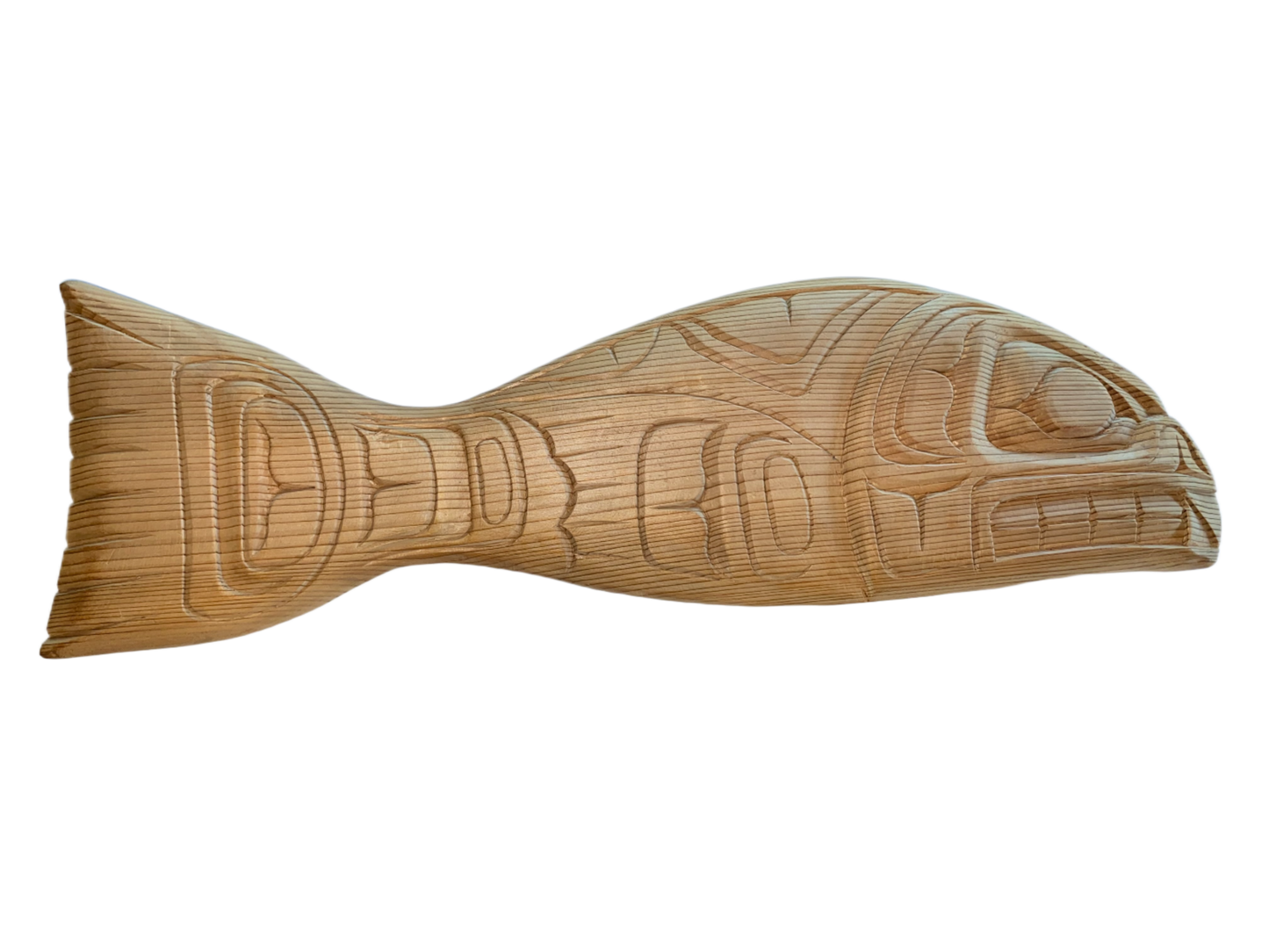 Salmon